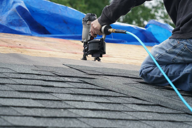 Best Roof Gutter Cleaning  in Meadowbrook, CA
